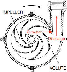 Centrifugal-Pump-drawing